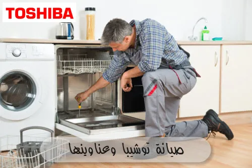 صيانة توشيبا وعناوينها